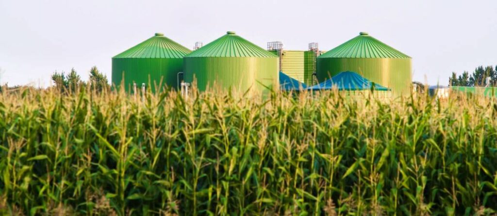 Oxygen Generators for Biogas Desulfurization